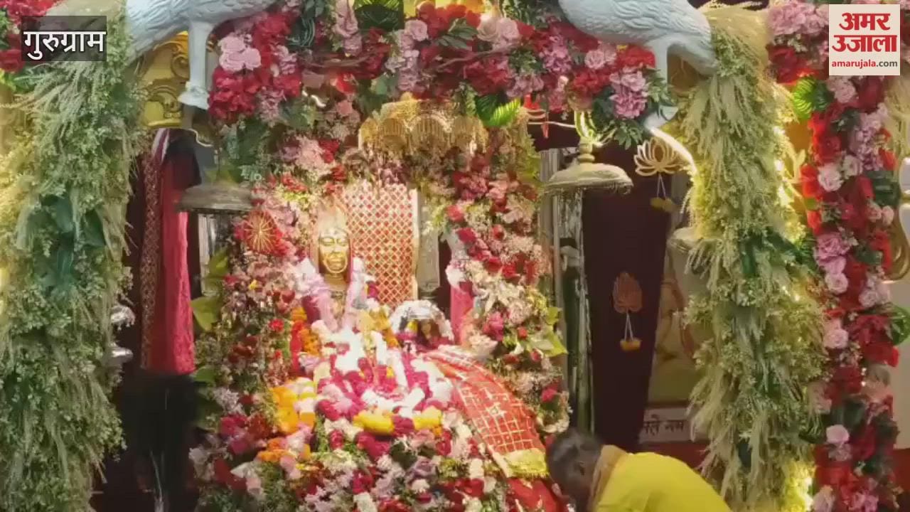 Crowds of devotees are gathering to have darshan of Sheetla Mata