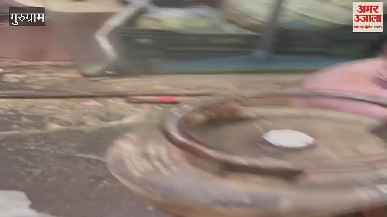 Food Supply Department finds cockroaches in cooking area