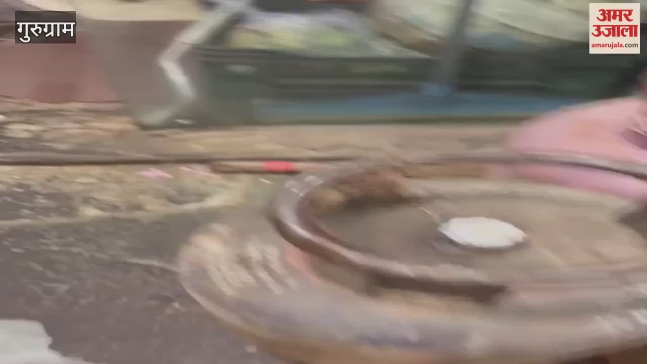 Food Supply Department finds cockroaches in cooking area