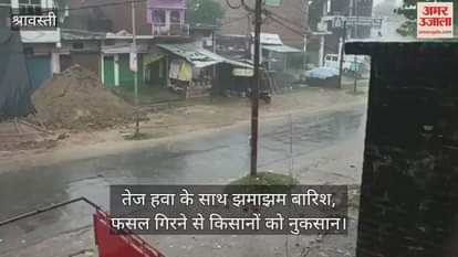 श्रावस्ती में तेज हवा के साथ झमाझम बारिश, फसल गिरने से किसानों को नुकसान