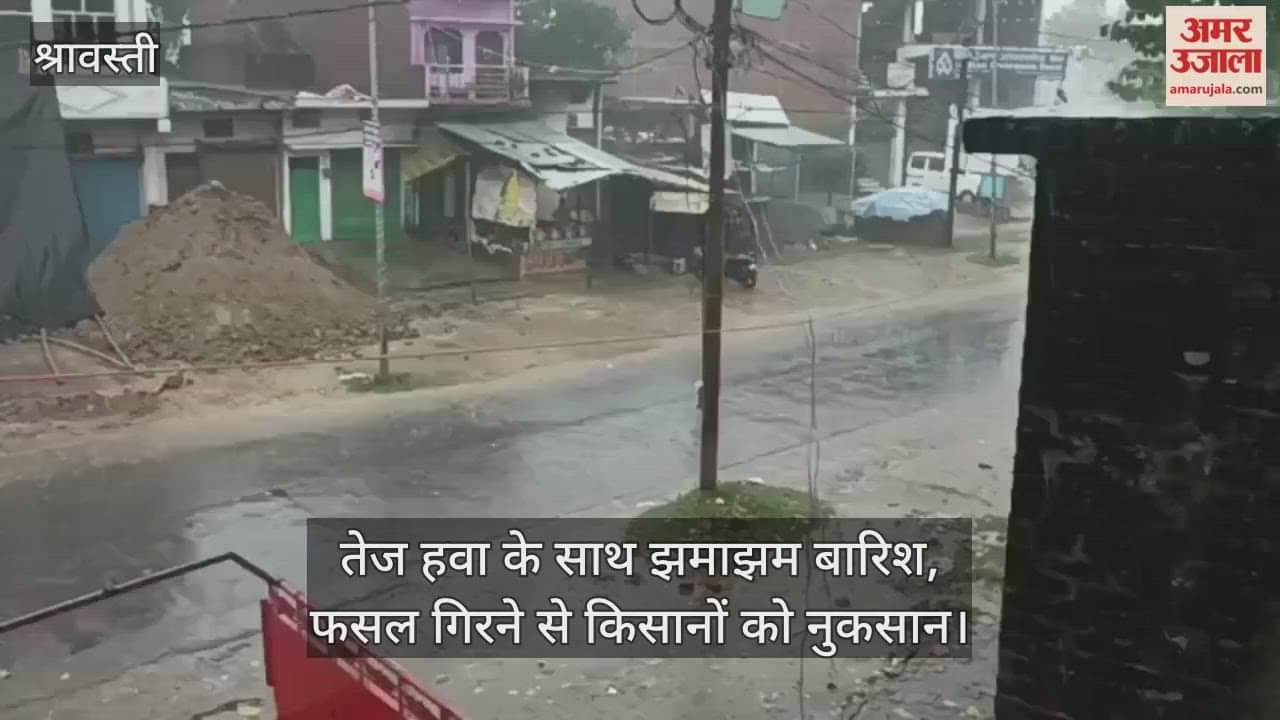 श्रावस्ती में तेज हवा के साथ झमाझम बारिश, फसल गिरने से किसानों को नुकसान