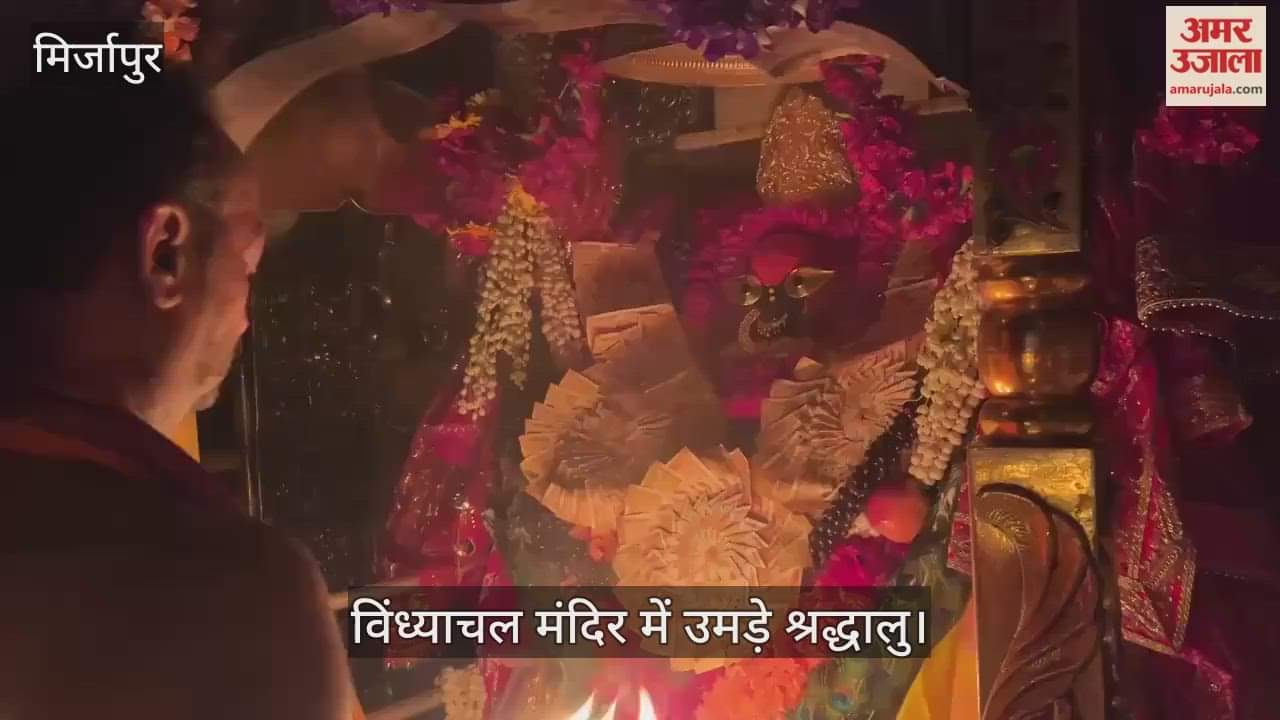 Durga Ashtami 2025 Maa Vindhyavasini gave darshan in form of Mahagauri in vindhyachal temple in Mirzapur