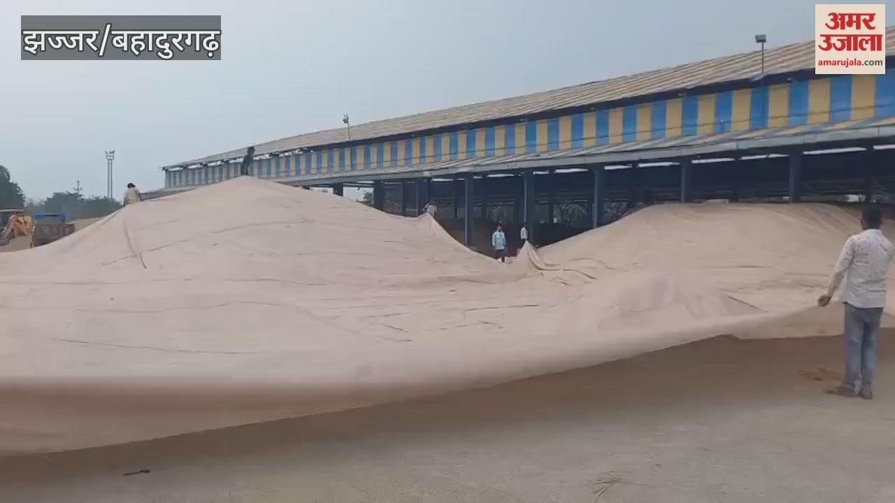 Light rain has started in Jhajjar; crops in the market are covered with tarpaulins.