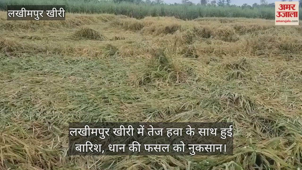Rain accompanied by strong winds in Lakhimpur Kheri