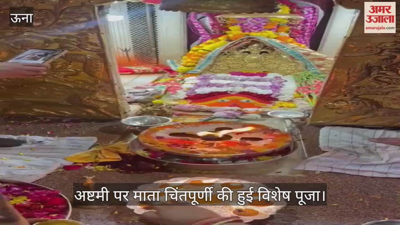 Special worship of Mata Chintpurni was performed on Ashtami, 56 offerings were made.