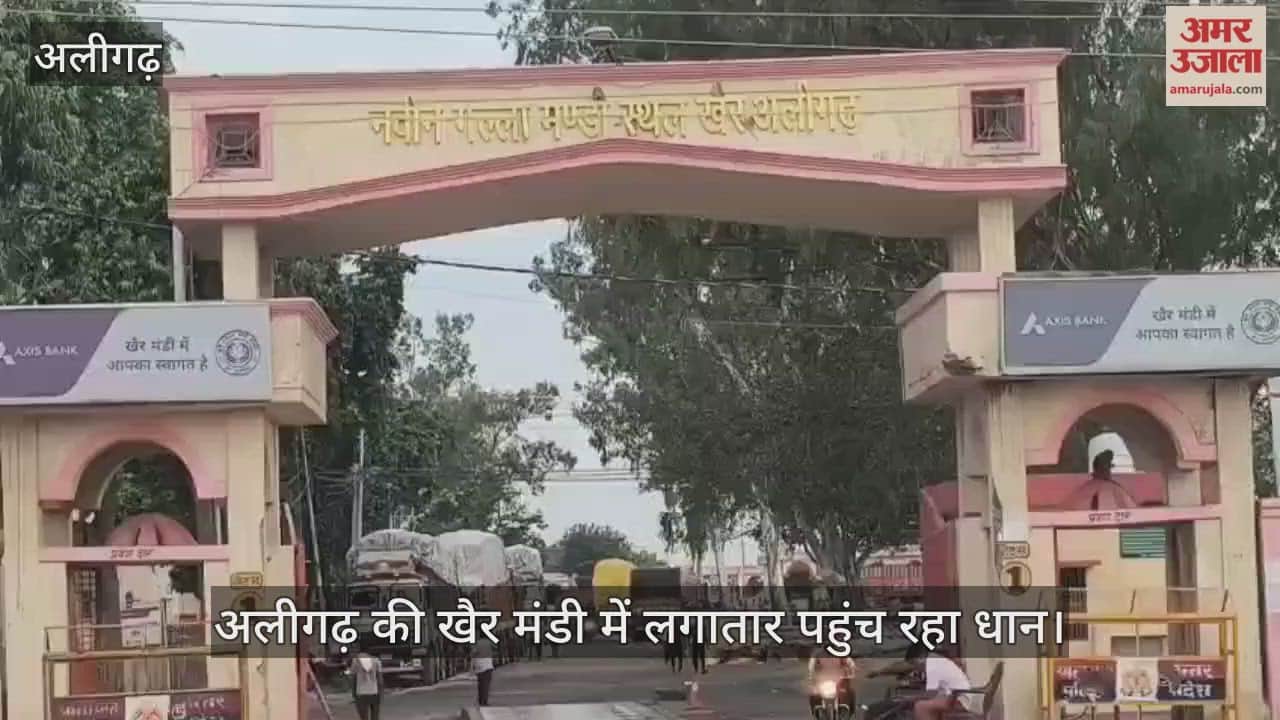 अलीगढ़ की खैर मंडी में लगातार पहुंच रहा धान
