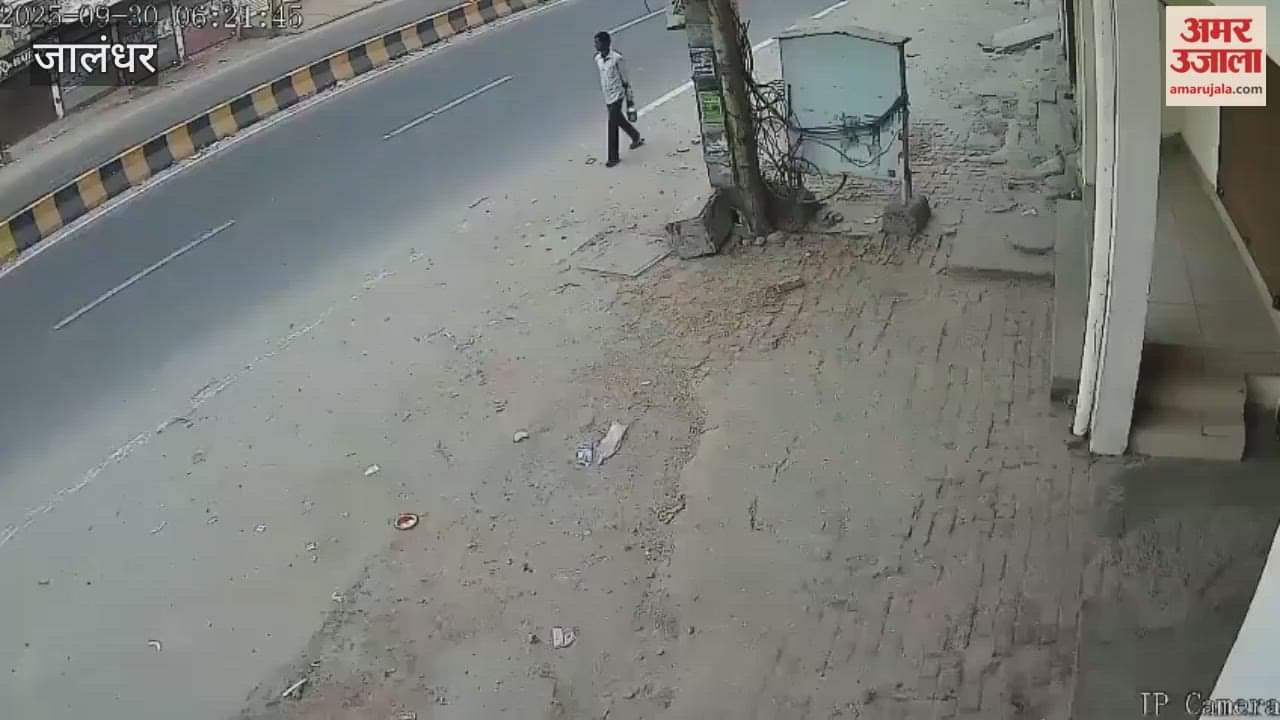 speeding Thar rammed into a shop in Jalandhar