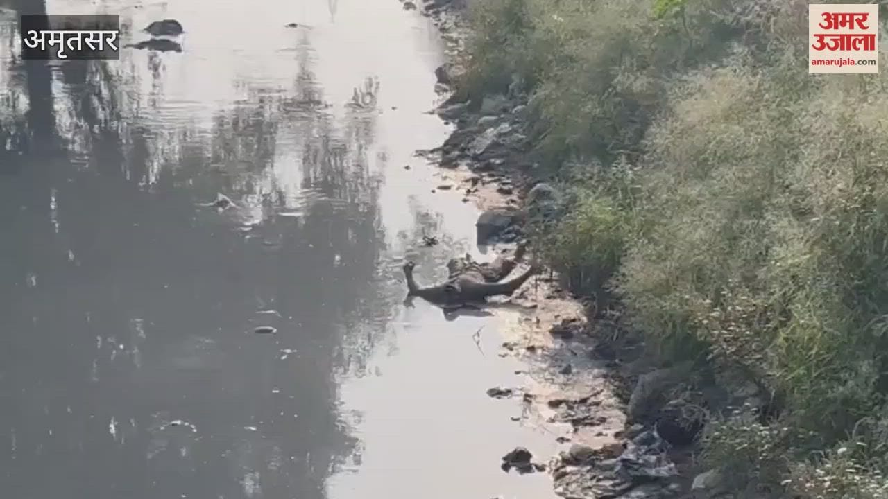 Man body found in Amritsar Chheharta area
