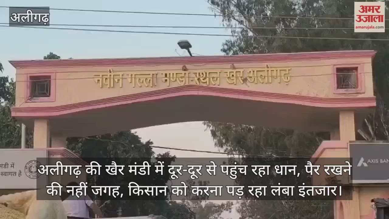 अलीगढ़ की खैर मंडी में दूर-दूर से पहुंच रहा धान, पैर रखने की नहीं जगह, किसान को करना पड़ रहा लंबा इंतजार