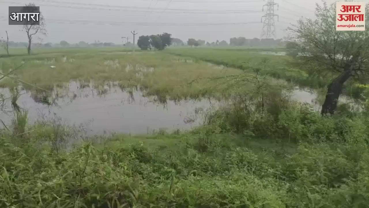 risk of crop damage due to rain