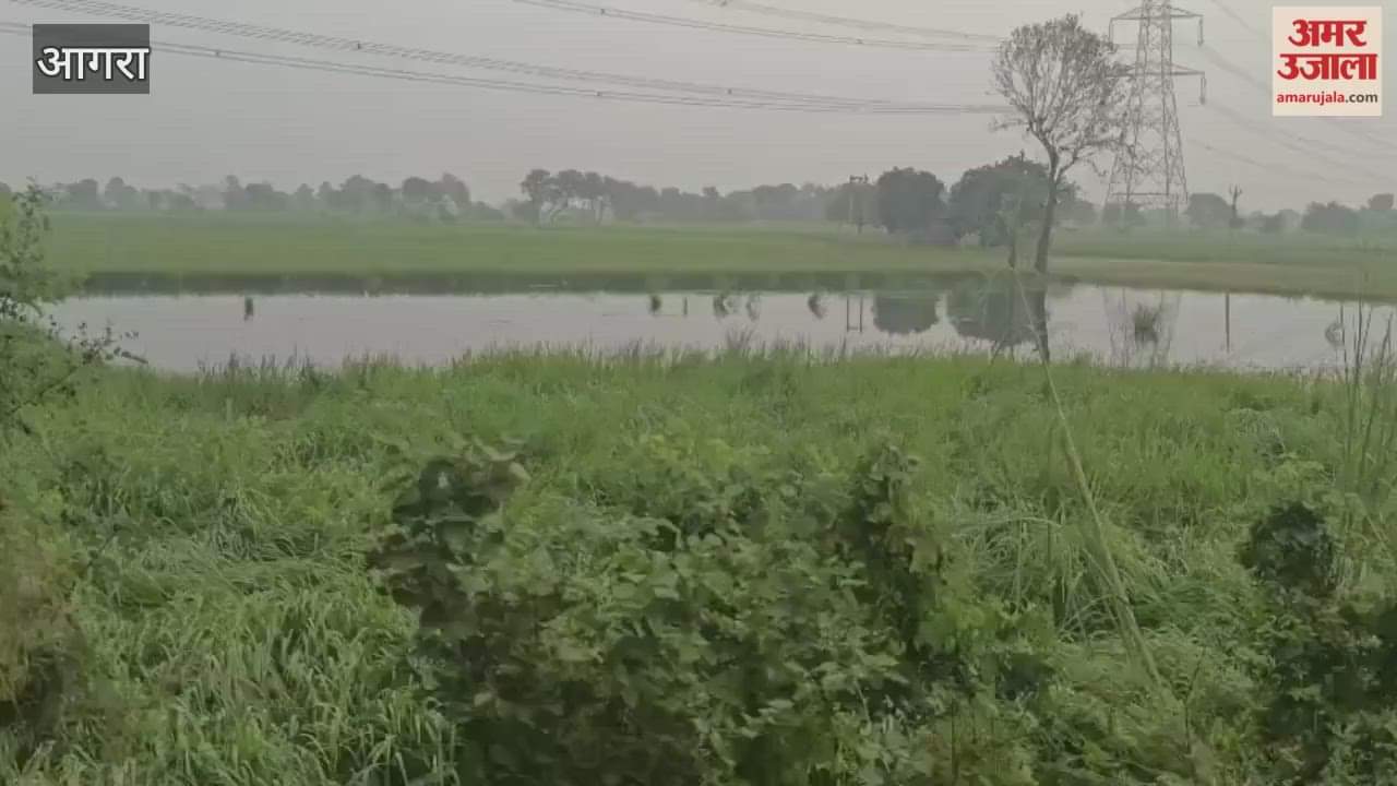risk of crop damage due to rain in agra