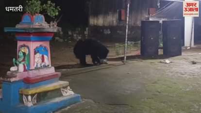 धमतरी: आरती में शामिल होता है भालू, खाकर जाता है प्रसाद, देखें पूरा वीडियो