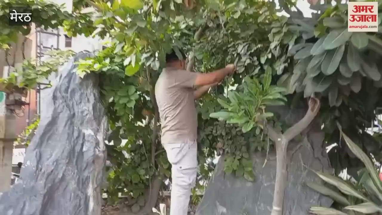 Meerut: अलर्ट के बीच एक्टिव दिखा बम डिस्पोज़ल स्क्वायड, संदिग्ध वाहनों और वस्तुओं को किया चेक