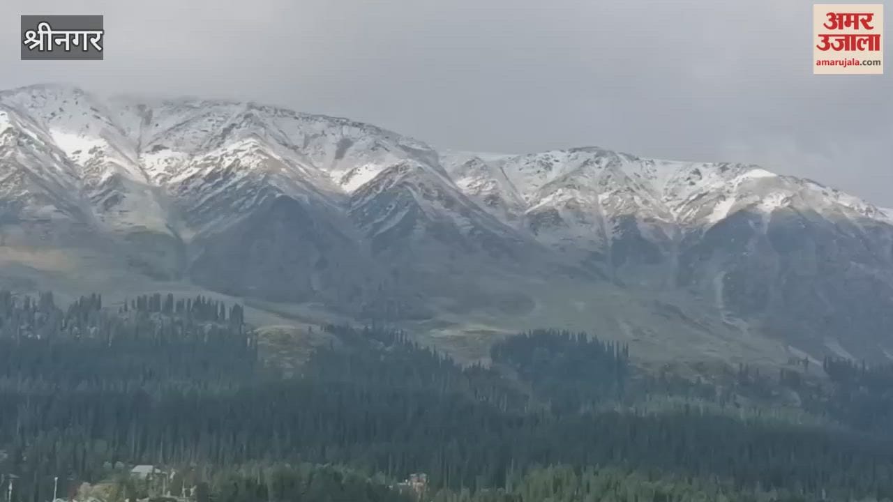 Kashmir's higher reaches receive season's first snowfall Srinagar,