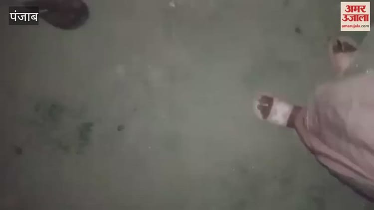 Father Pushed His Daughter Into A Canal Because He Disapproved Of Her Behavior; The Father Also Made A Video Of The Incident In Punjab – Amar Ujala Hindi News Live