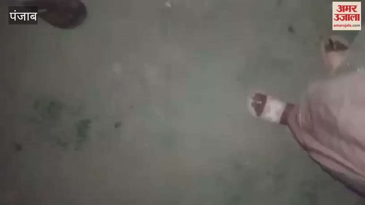 father pushed his daughter into a canal because he disapproved of her behavior; the father also made a video of the incident In Punjab