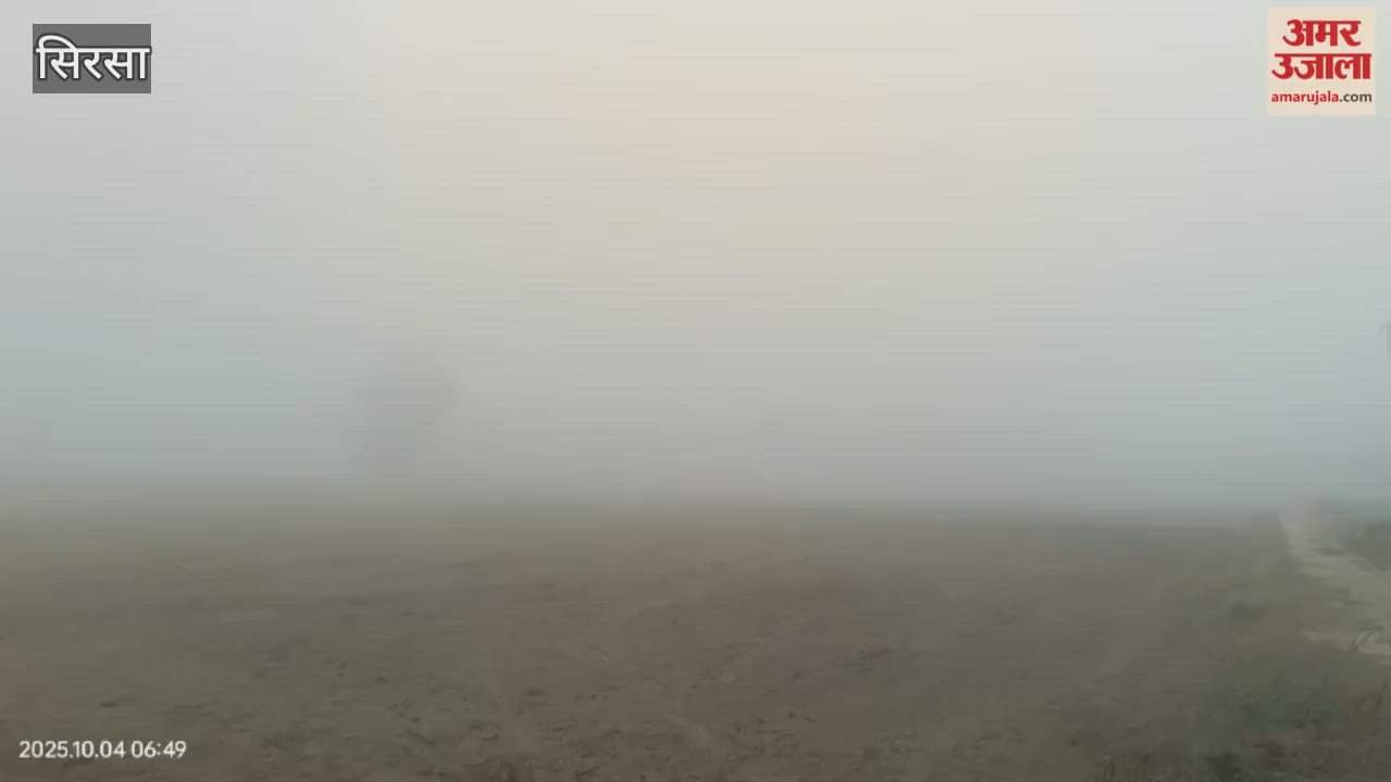 Fog or smog in Sirsa, everyone is surprised to see it