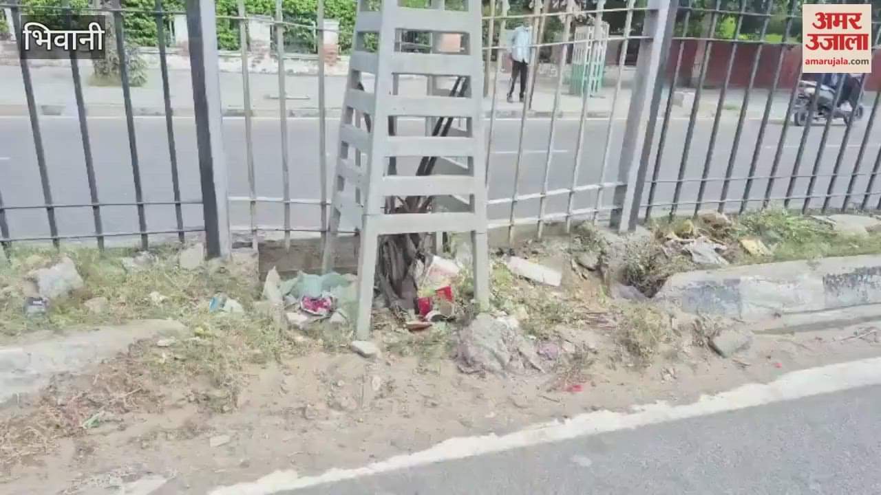greenery of the divider died before renovation, palm trees were planted five months ago In Bhiwani