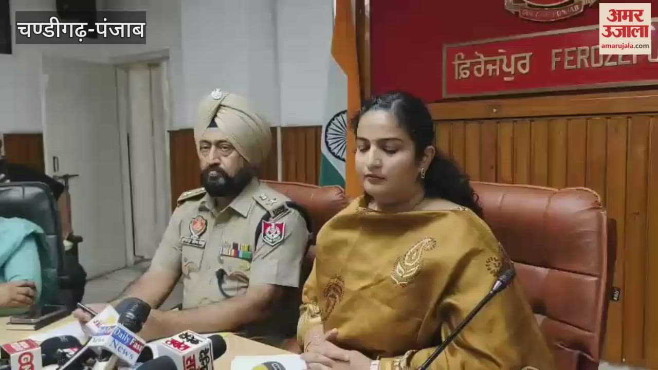 Four medical shops sealed in Ferozepur