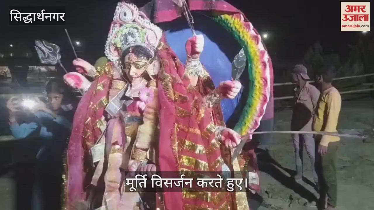 Durga idols immersed peacefully