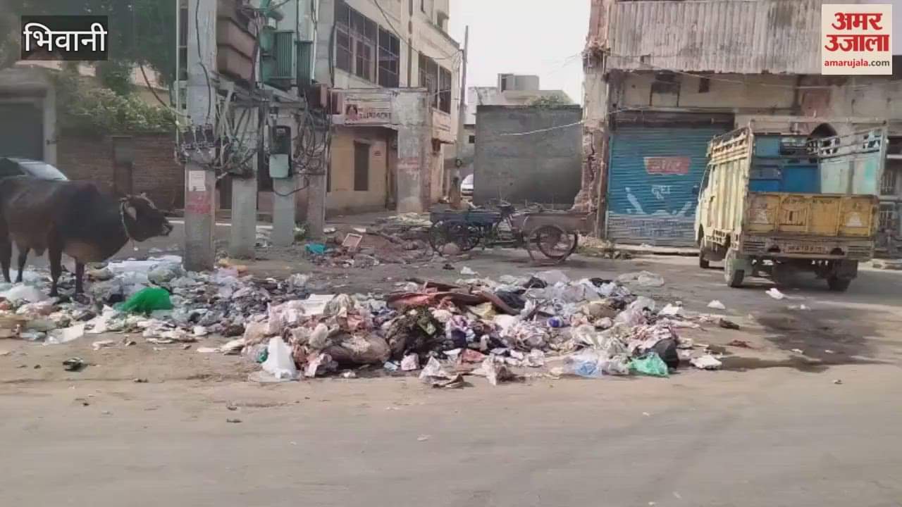 Municipal council employees in Bhiwani are neglecting cleanliness and dumping garbage in open