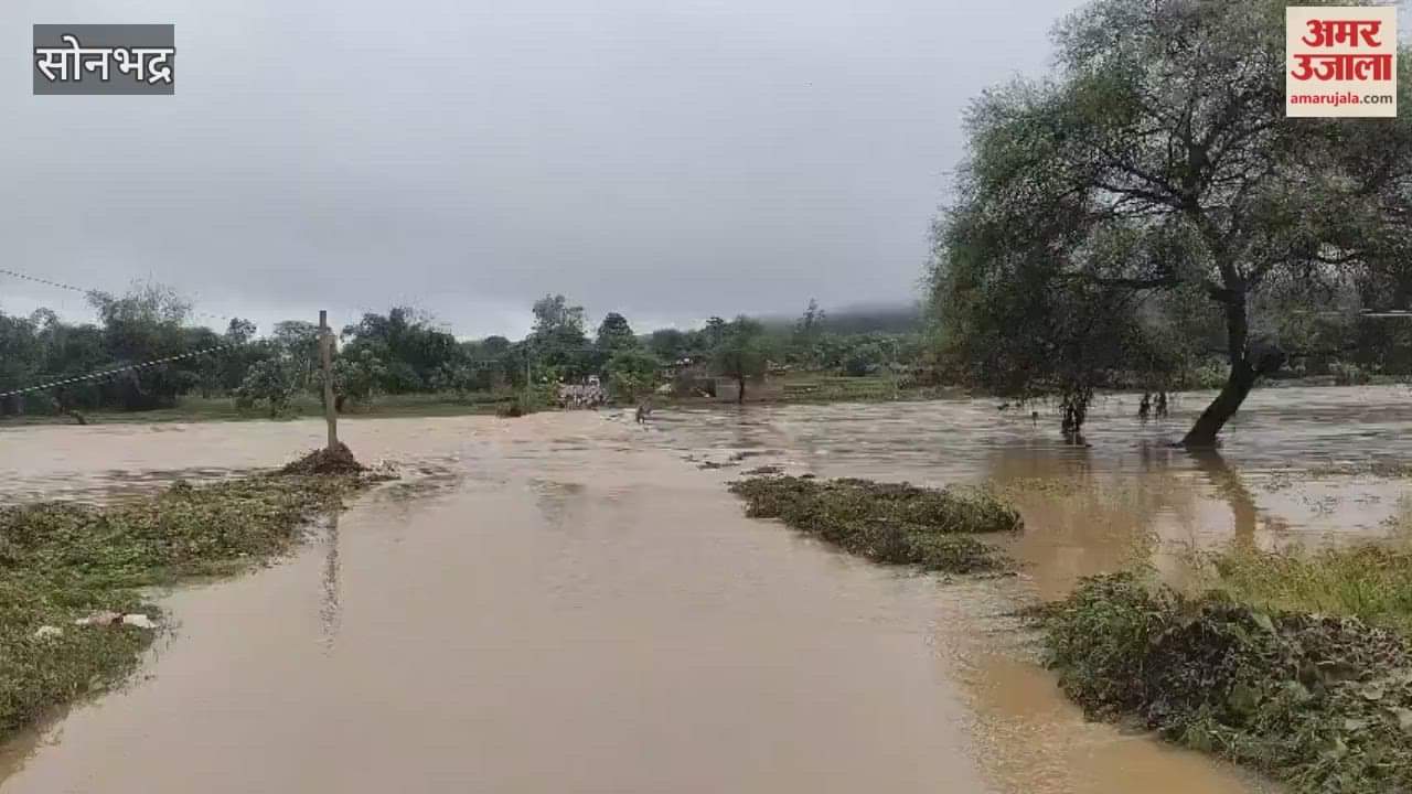 Rain washed away bridge in Sonbhadra water entered houses VIDEO