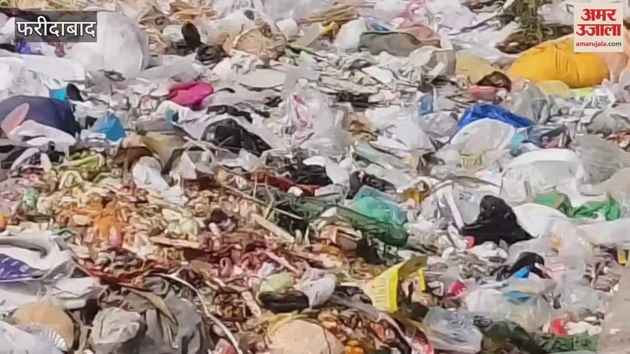 People are troubled by the garbage spread on the roadside in Faridabad