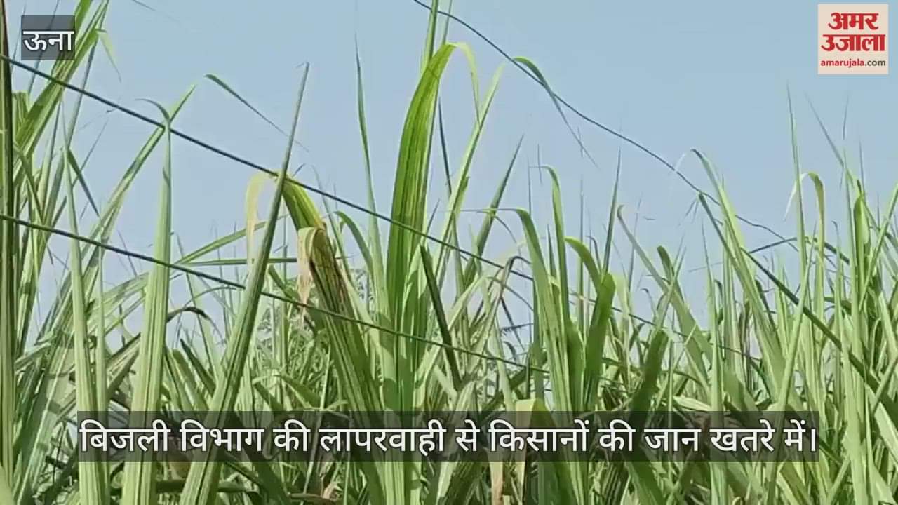 Due to the negligence of the electricity department, the lives of farmers are in danger