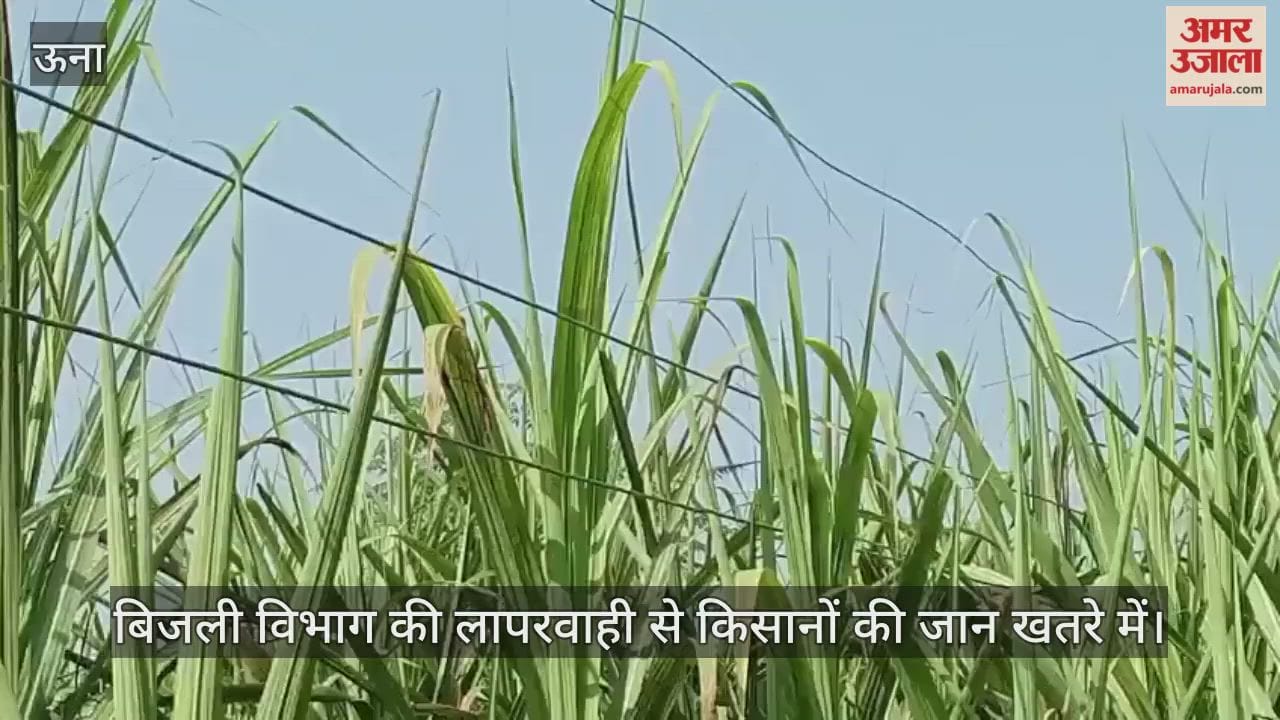 Due to the negligence of the electricity department, the lives of farmers are in danger
