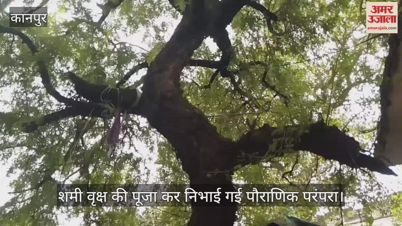 कानपुर: विजयदशमी पर शिवाला में शमी वृक्ष का पूजन, भक्तों ने मांगी विजय और समृद्धि