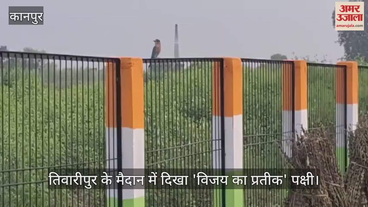 कानपुर: भगवान राम की विजय का प्रतीक नीलकंठ, दशहरे पर दर्शन से होती है मनोकामना पूरी