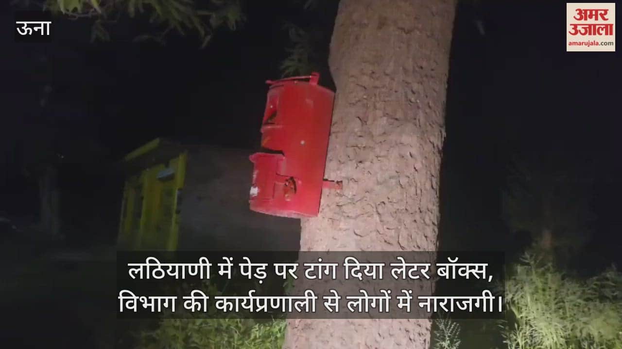 Una: Letter box hung from a tree in Lathiani
