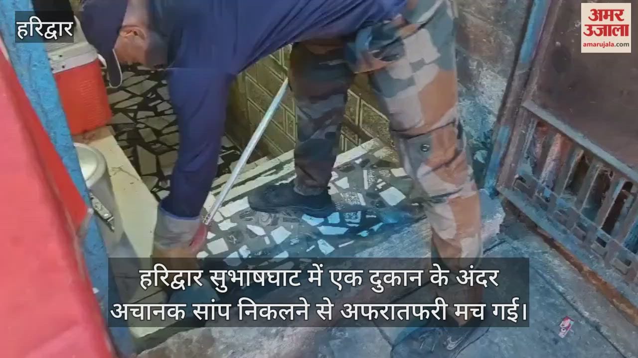 A snake suddenly appeared inside a shop in Haridwar, causing panic.