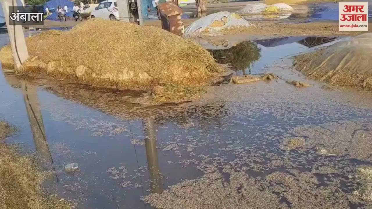 Rain submerged farmers' paddy in Barada grain market, causing heavy losses