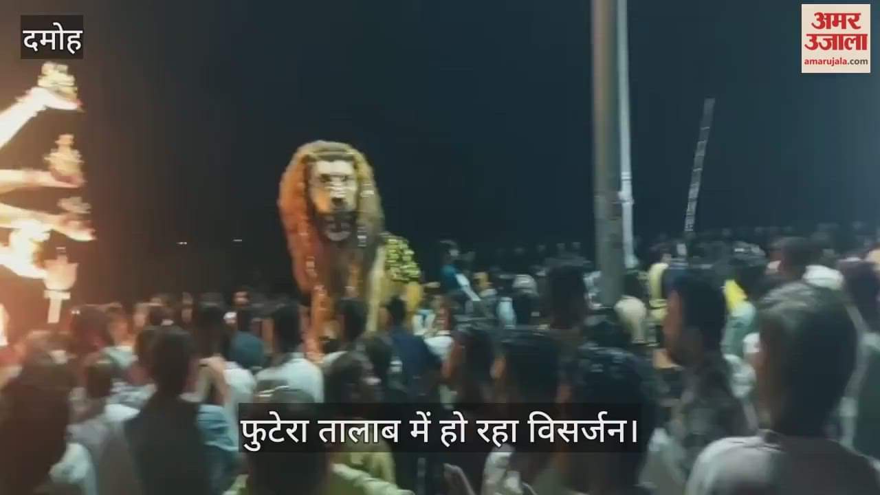 Damoh News: Immersion of goddess idols took place in Futera pond till 8 am.