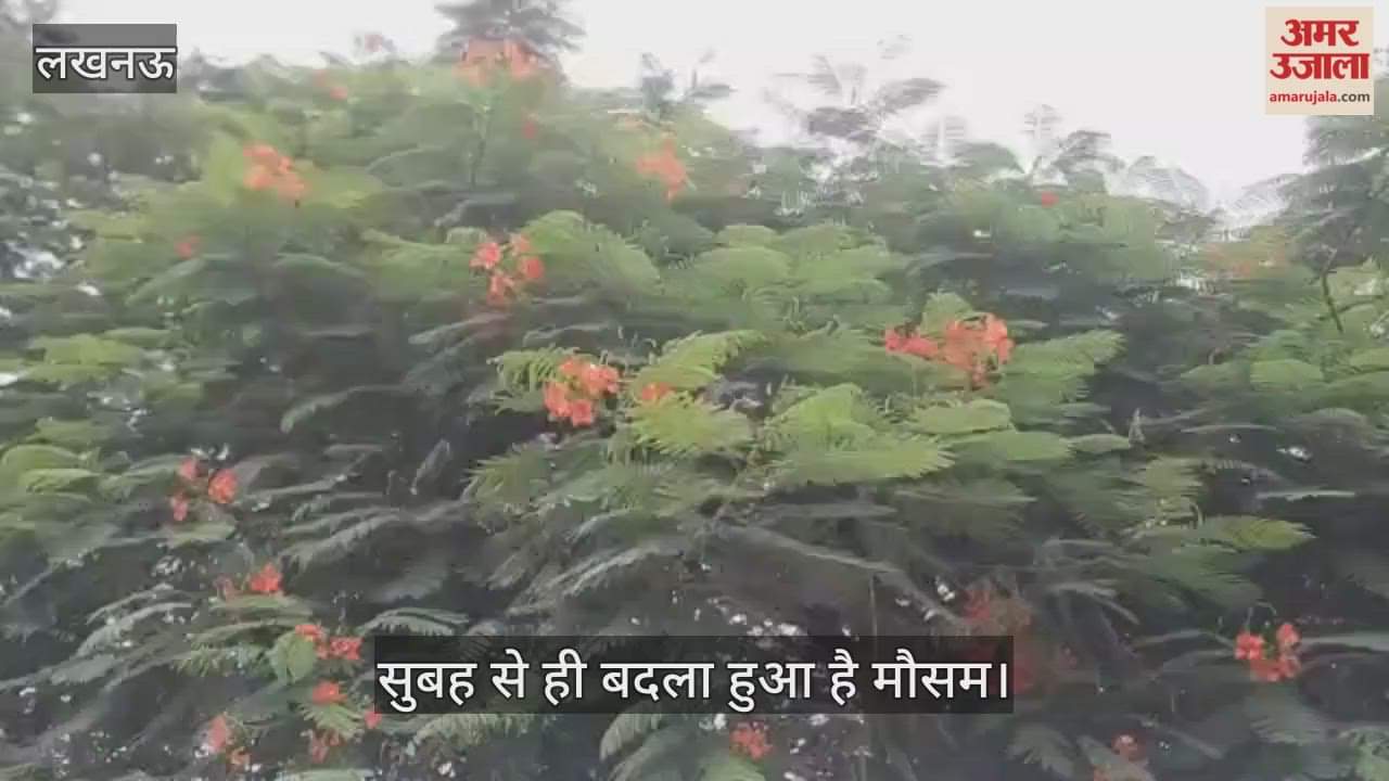 VIDEO: लखनऊ में सुबह से ही बदला हुआ है मौसम, हल्की व मध्यम बारिश के आसार