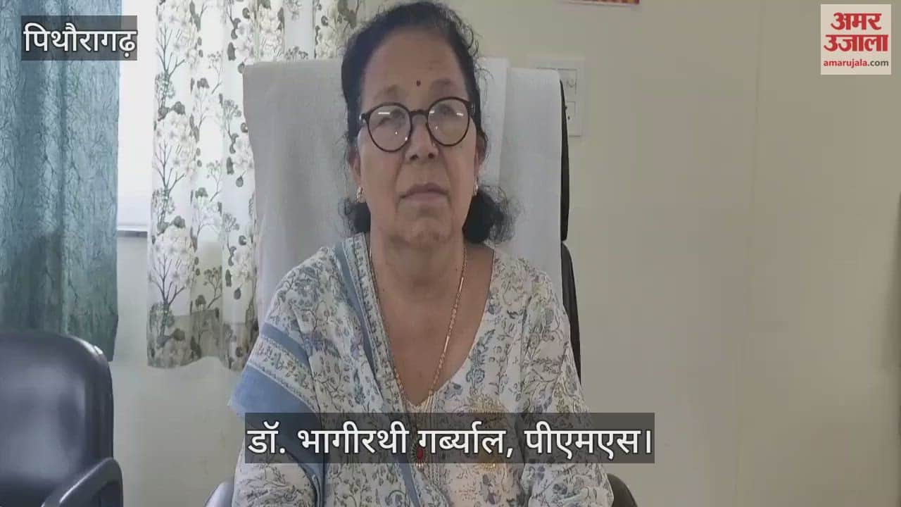 Wasps attack students on their way to school in pithoragarh