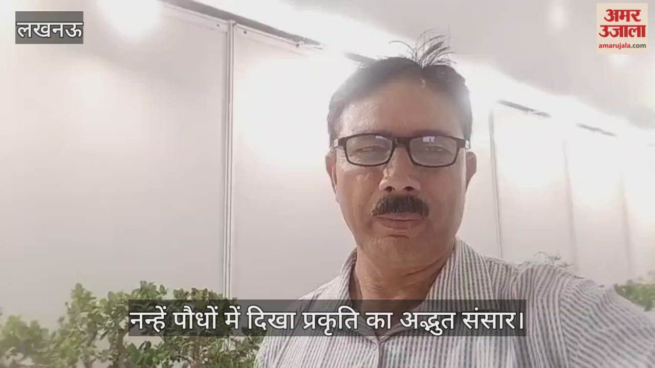 नन्हें पौधों में दिखा प्रकृति का अद्भुत संसार, लखनऊ में प्रदर्शनी की शोभा बने 200 पौधे