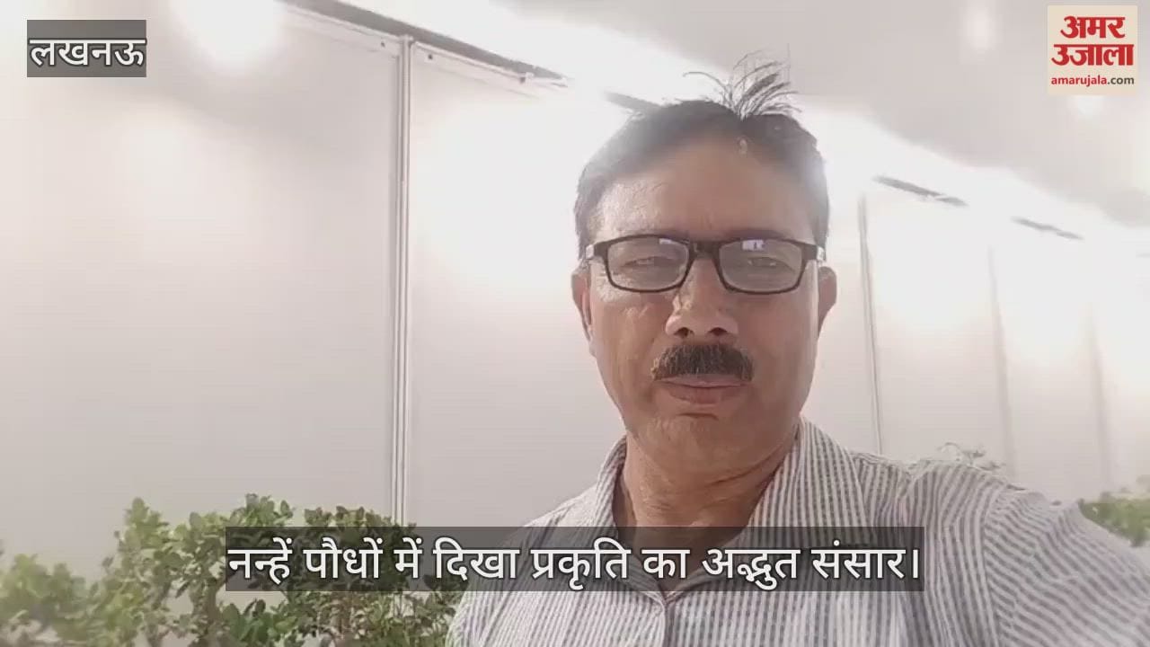नन्हें पौधों में दिखा प्रकृति का अद्भुत संसार, लखनऊ में प्रदर्शनी की शोभा बने 200 पौधे
