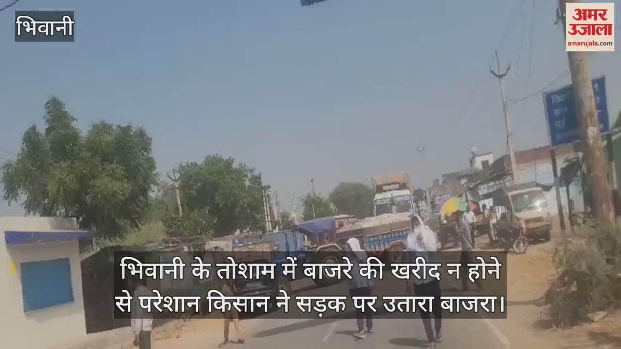 Frustrated by the lack of purchase of millet, the farmer brought the millet to the road