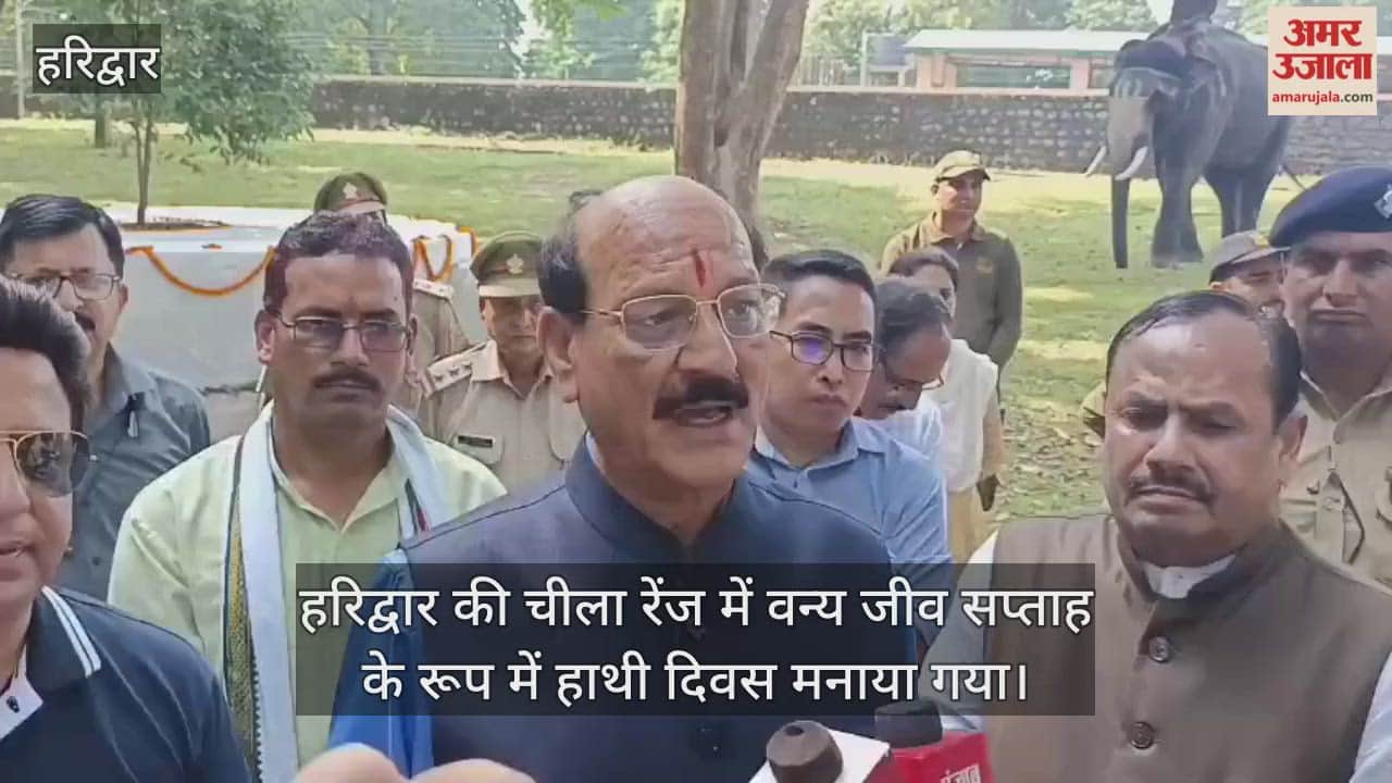 Elephant Day celebrated as Wildlife Week in Haridwar's Cheela Range