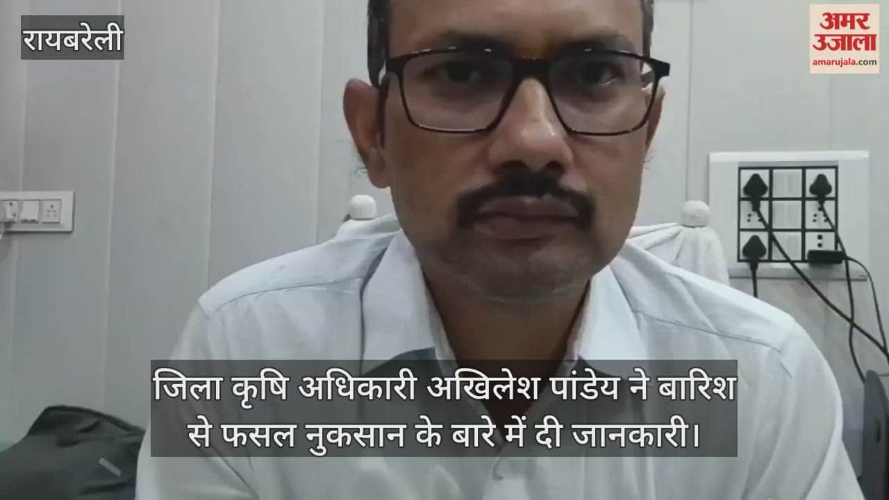 रायबरेली में जिला कृषि अधिकारी अखिलेश पांडेय ने बारिश से फसल नुकसान के बारे में दी जानकारी