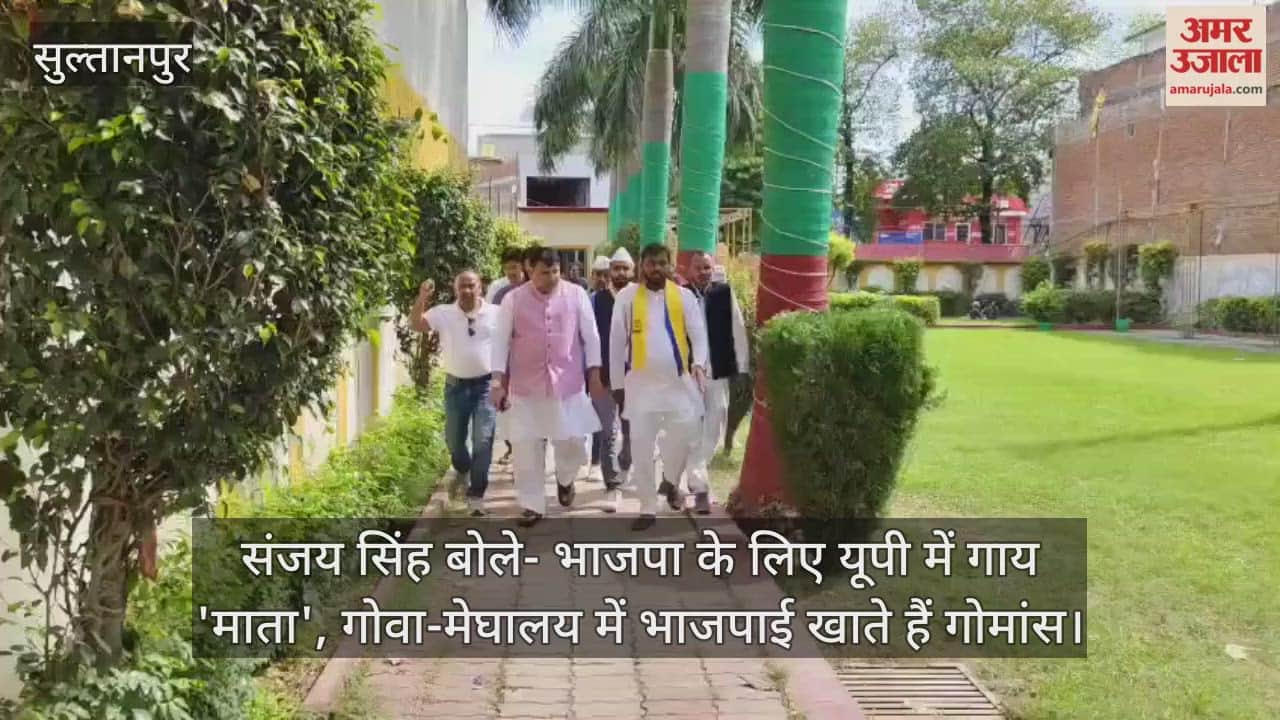 संजय सिंह बोले- भाजपा के लिए यूपी में गाय 'माता', गोवा-मेघालय में भाजपाई खाते हैं गोमांस