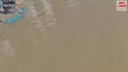 One lakh fish released into the Ganges River on the birthday of a former MP