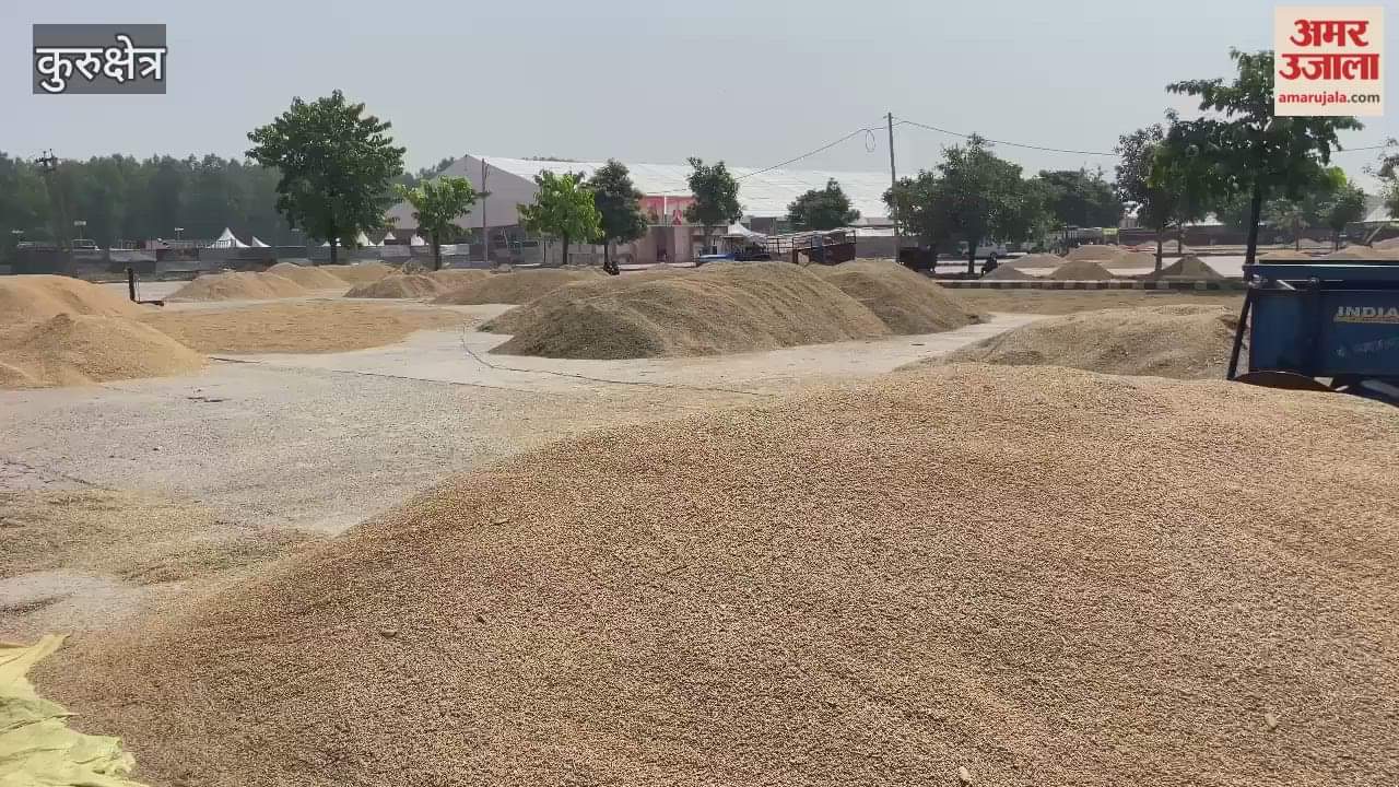 Grain market set up at Brahmasarovar