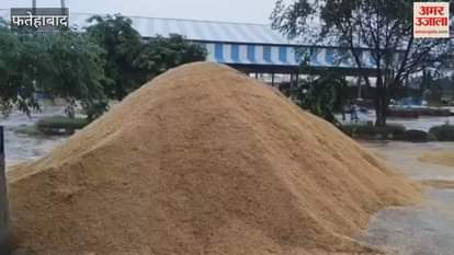 Rain in Fatehabad since morning