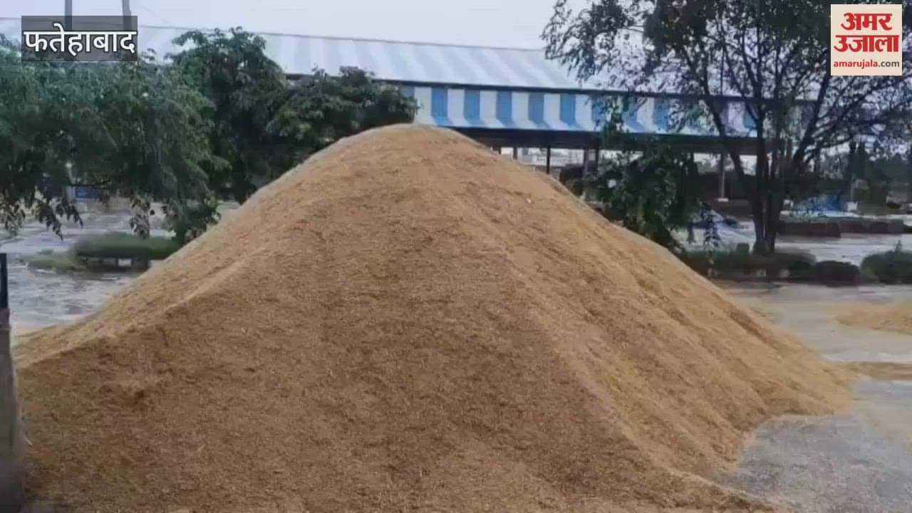 Rain in Fatehabad since morning