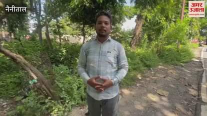 an elephant climbed onto the bridge of Garjia Devi temple in Ramnagar