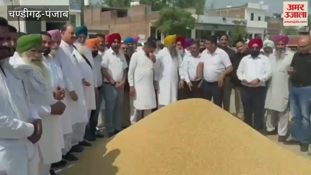 MLA Kataria started paddy procurement in the grain market of Jeera