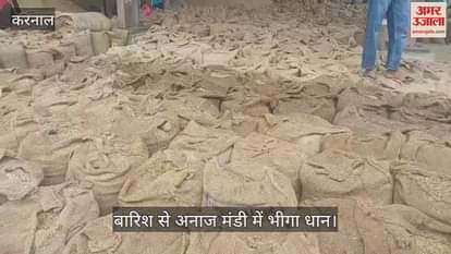 Rain soaks paddy in grain market